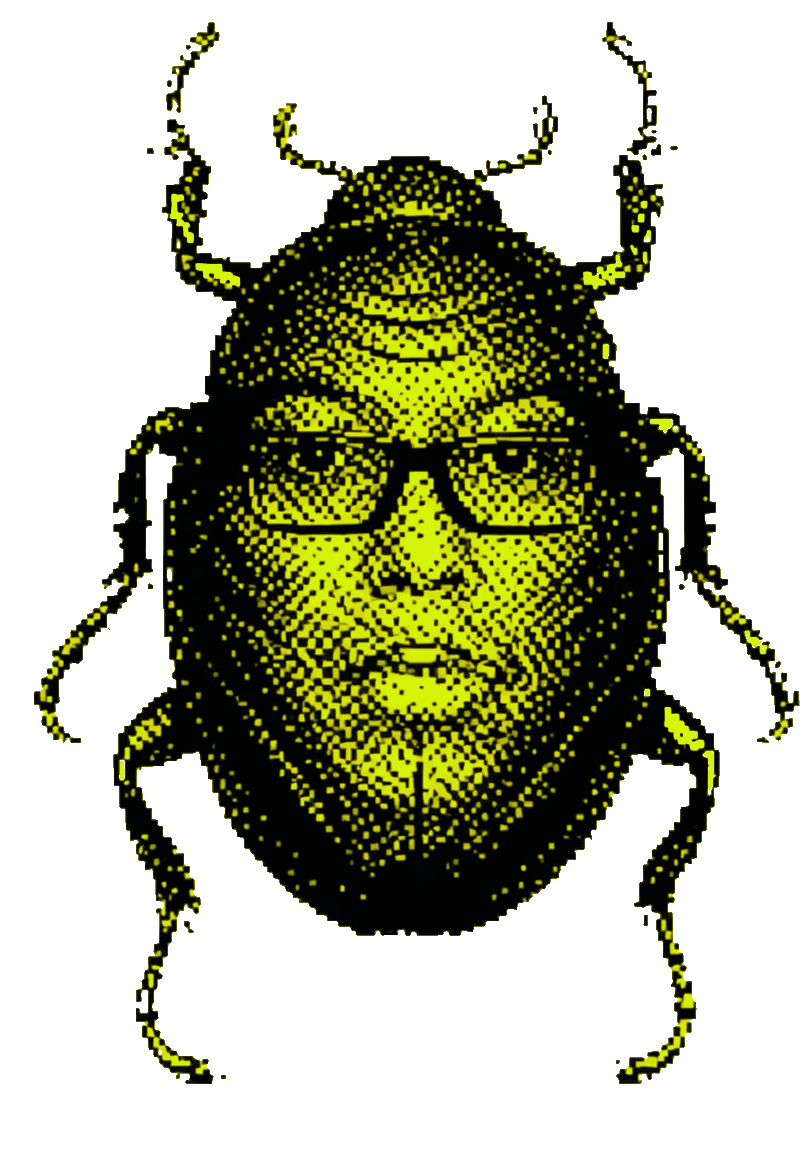Bug